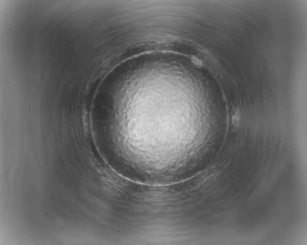 X0000067940819200604131446