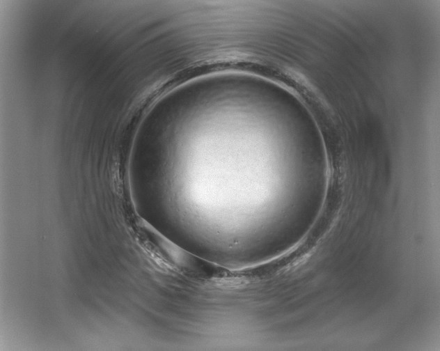 X0000067940825200604131446