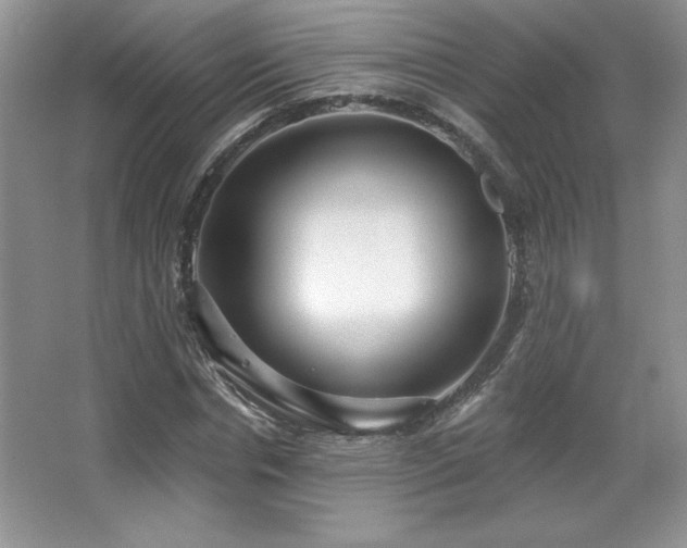 X0000067940826200604131446