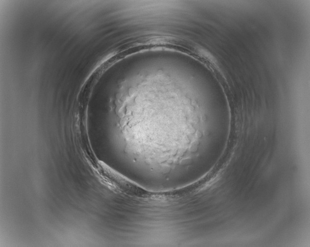 X0000067940827200604131446