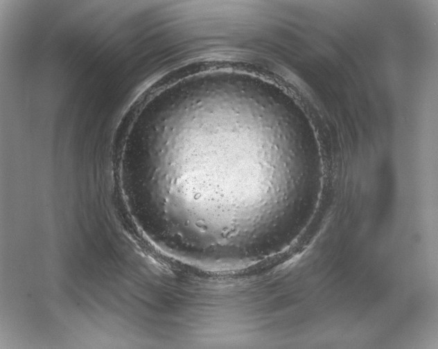 X0000067940829200604131446