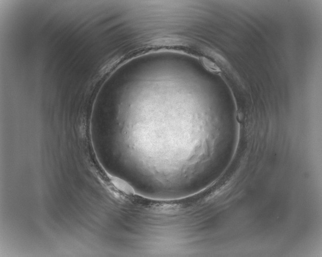 X0000067940833200604131446