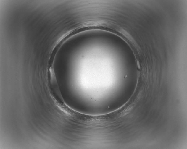 X0000067940834200604131447