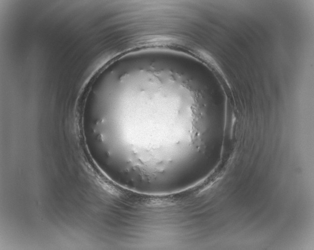 X0000067940835200604131447