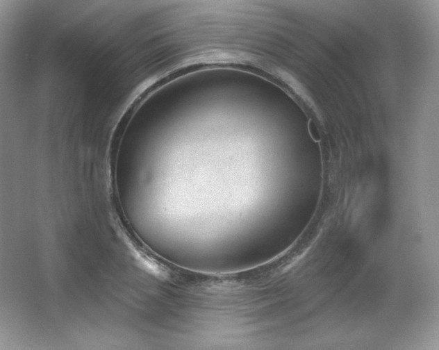 X0000067940837200604131447