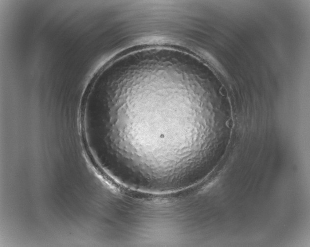 X0000067940839200604131447