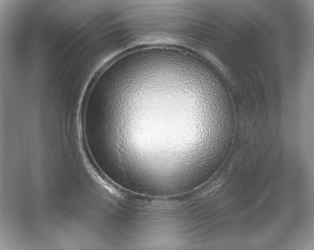 X0000067940840200604131447