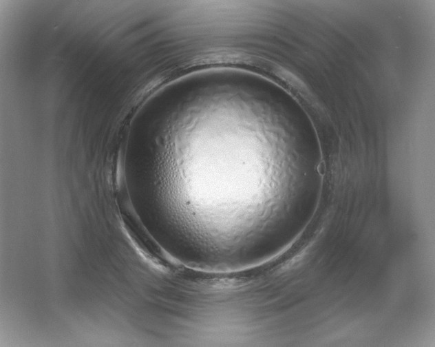 X0000067940841200604131447
