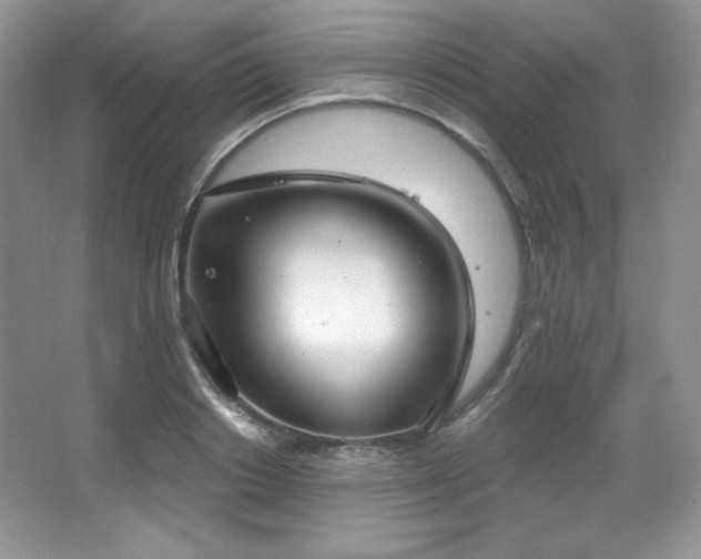 X0000067940842200604131447