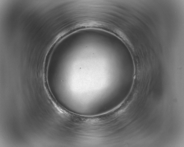 X0000067940845200604131447