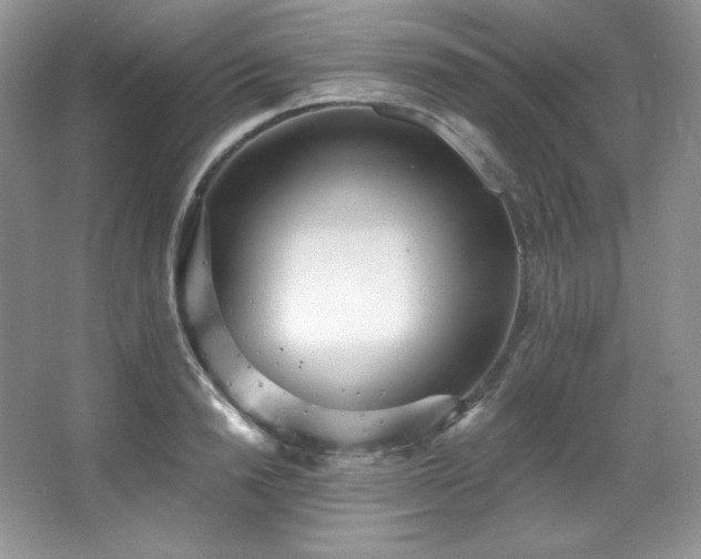 X0000067940846200604131447
