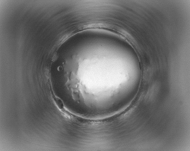 X0000067940849200604131447