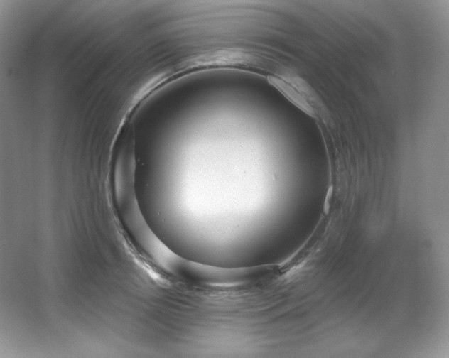 X0000067940850200604131447