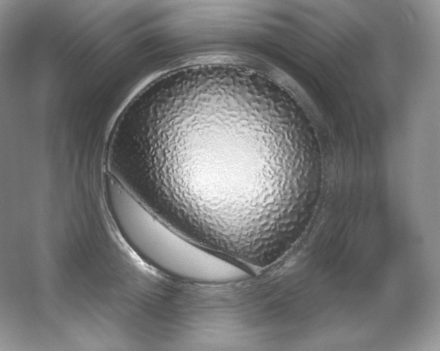 X0000067940852200604131447