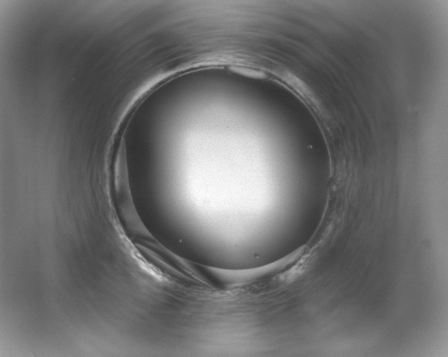 X0000067940854200604131447