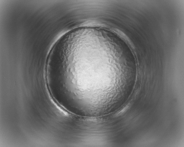 X0000067940855200604131447