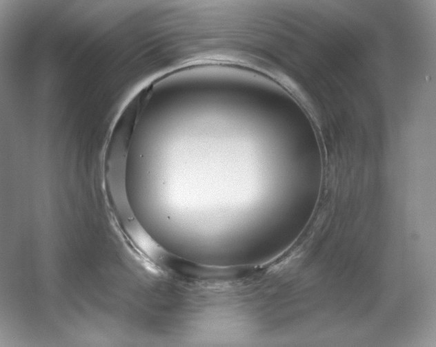 X0000067940862200604131447