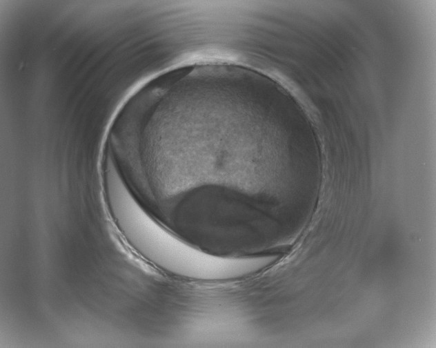 X0000067940864200604131447