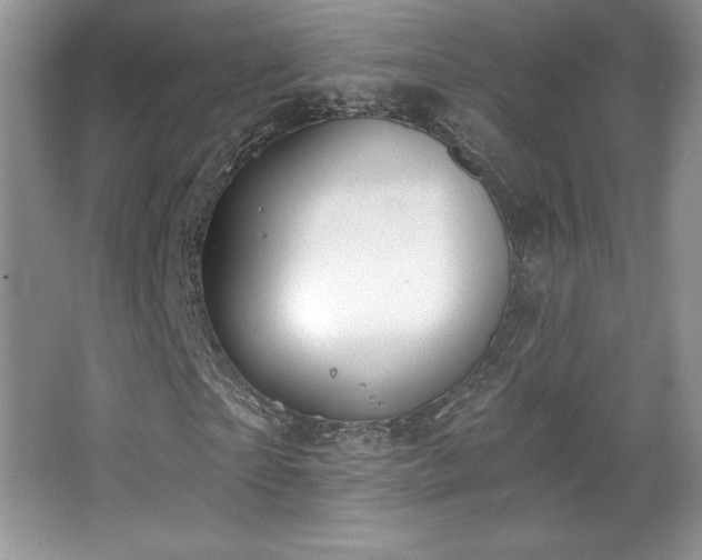 X0000067940865200604131446