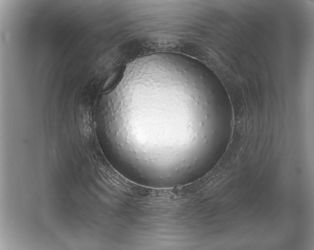 X0000067940866200604131446