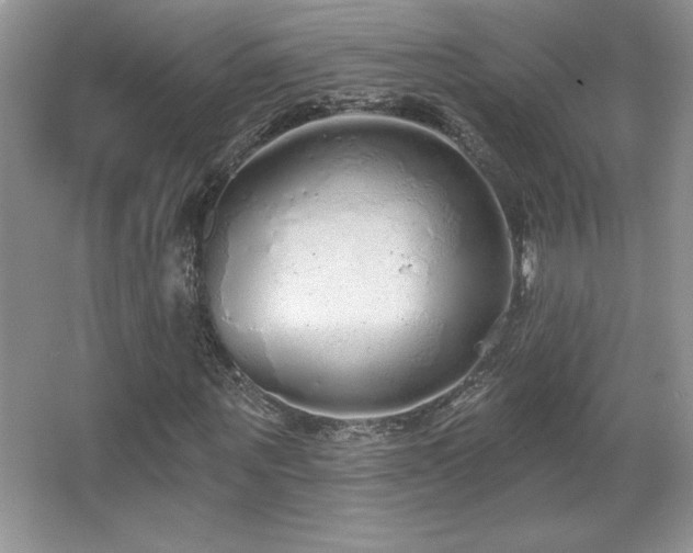 X0000067940867200604131446