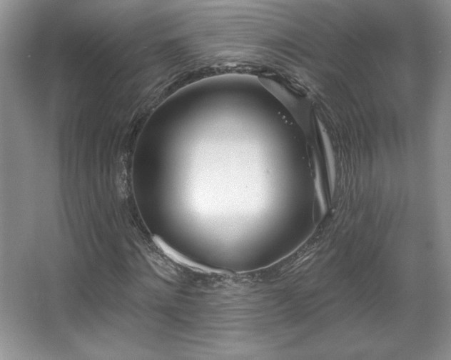X0000067940868200604131446