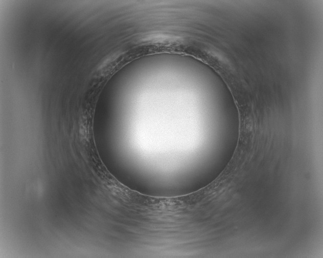X0000067940869200604131446