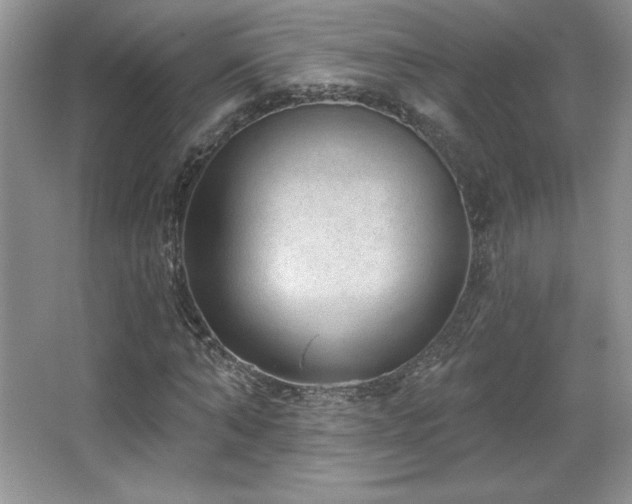 X0000067940870200604131446