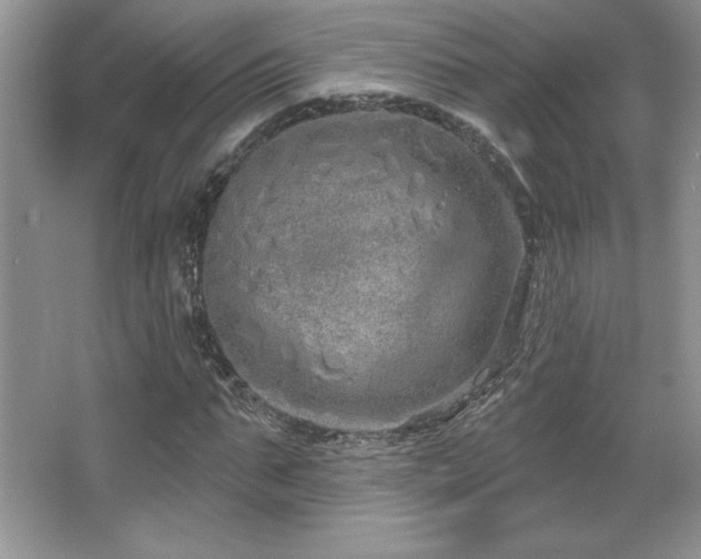 X0000067940871200604131446