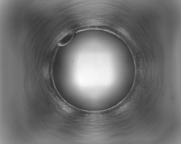 X0000067940873200604131446