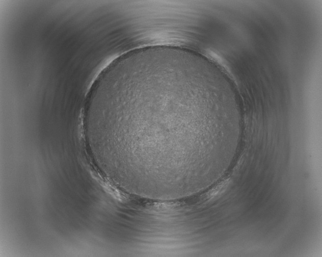 X0000067940875200604131446