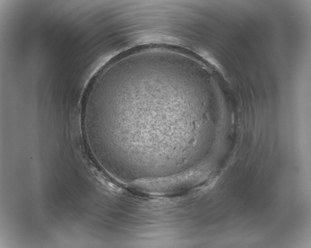 X0000067940877200604131446