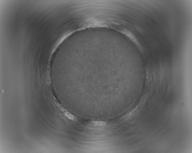 X0000067940878200604131446