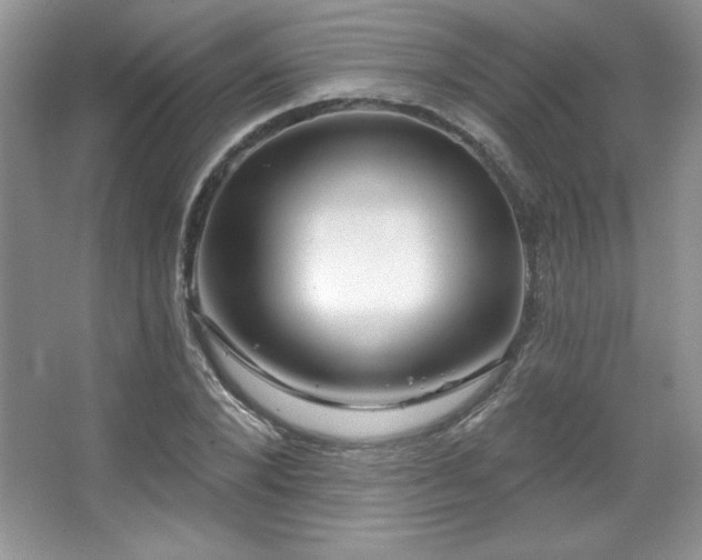 X0000067940880200604131446