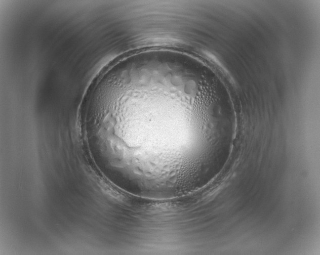 X0000067940883200604131446