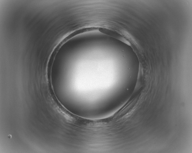 X0000067940884200604131446