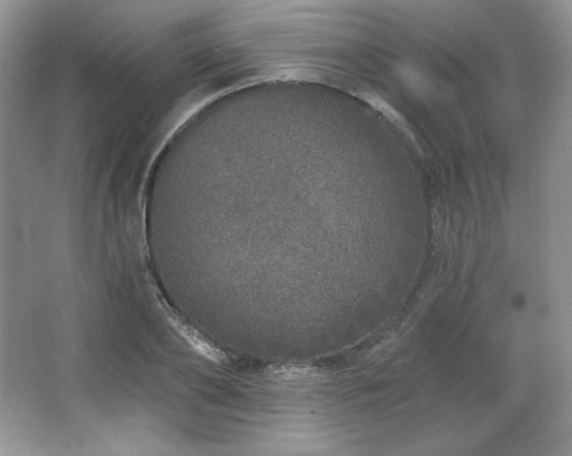 X0000067940886200604131446