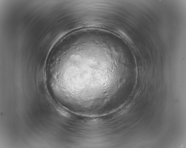 X0000067940891200604131446