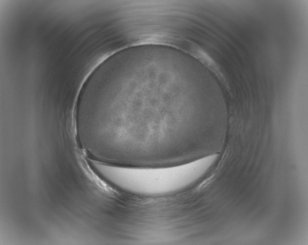 X0000067940892200604131446