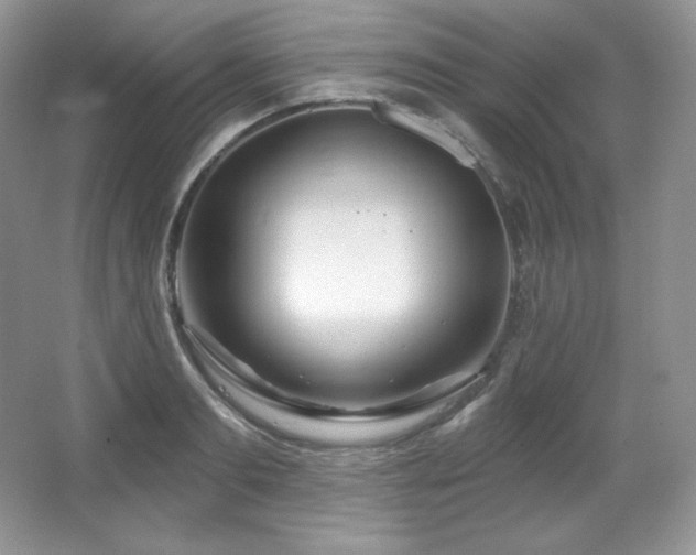 X0000067940893200604131446