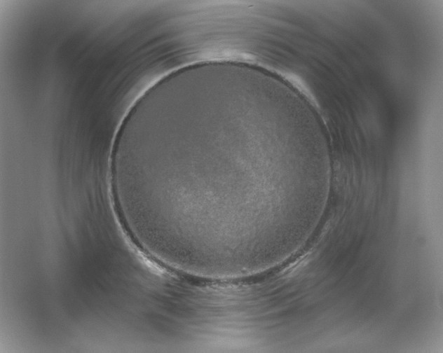 X0000067940895200604131446