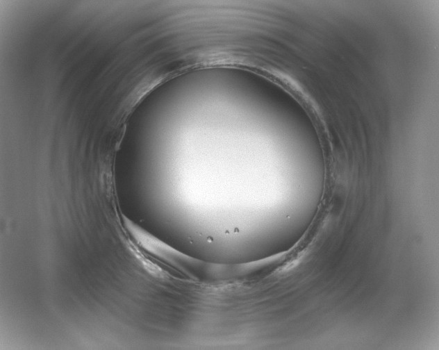 X0000067940897200604131446