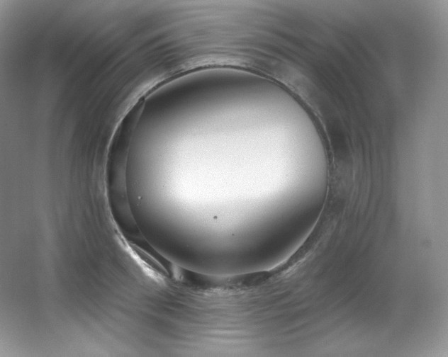 X0000067940898200604131446