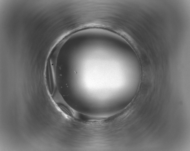 X0000067940902200604131446