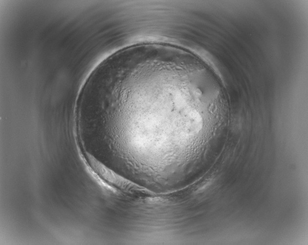 X0000067940903200604131446