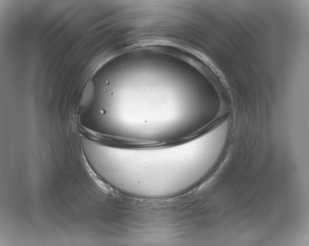 X0000067940905200604131446
