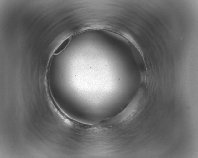 X0000067940906200604131445