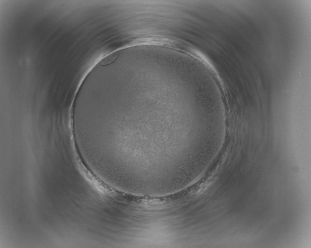 X0000067940907200604131445