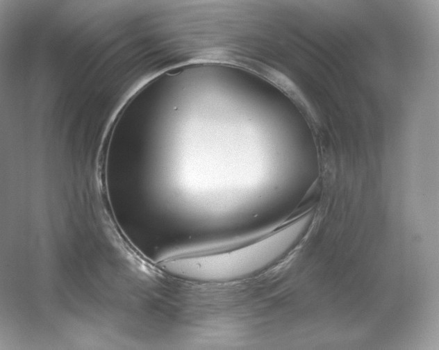 X0000067940908200604131445
