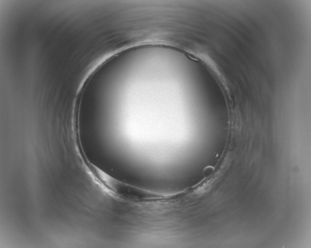 X0000067940910200604131445